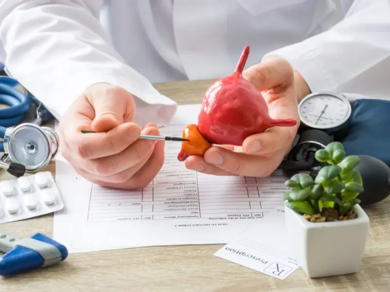 qual o tamanho da próstata em risco de câncer​ de próstata